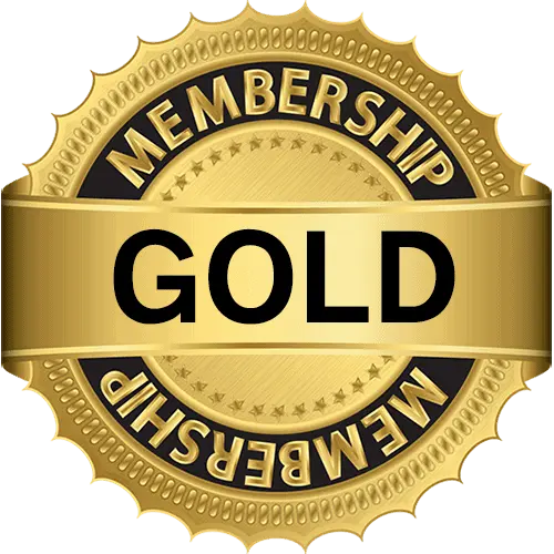 Gold - Biaya Pembuatan Website Company Profile